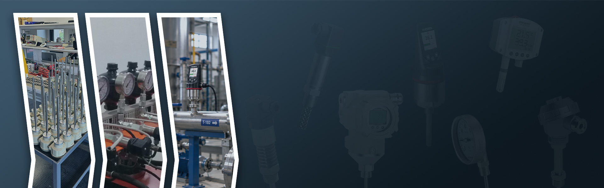 Smart Temperature Switch<br>MSTS